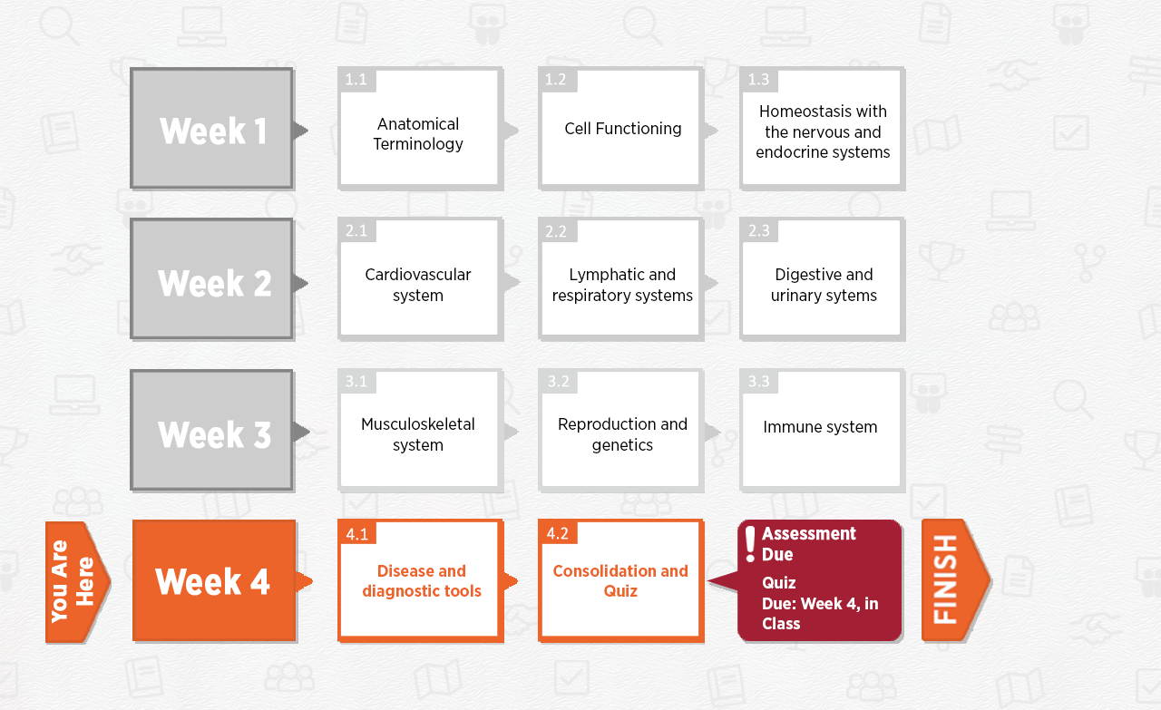 Week 4 Module Map – H5P.com