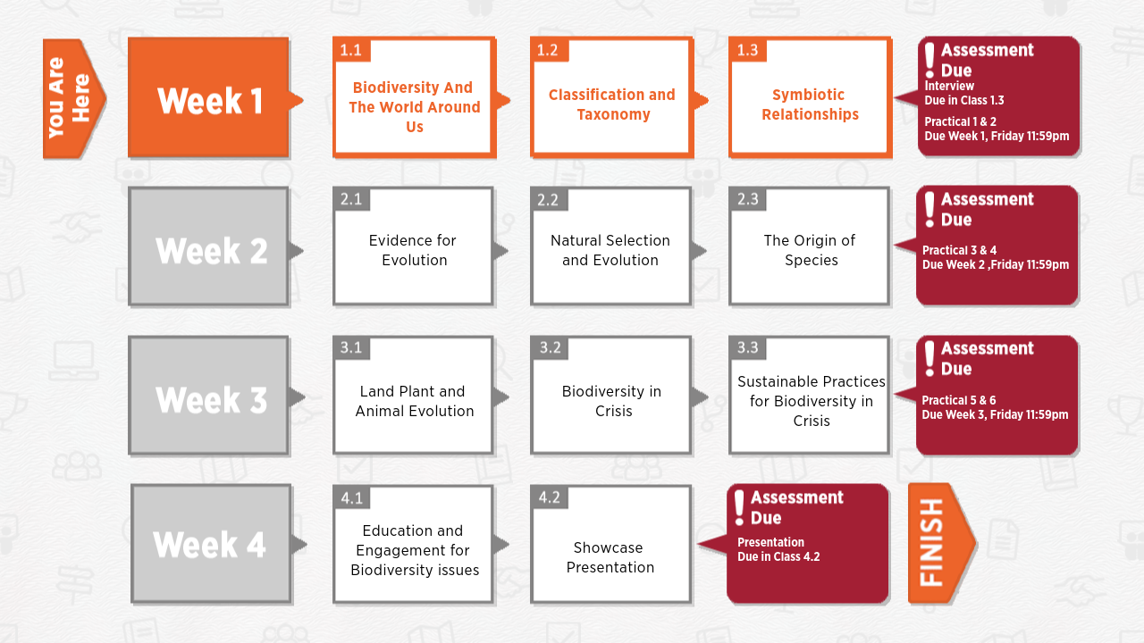 Week 1 Module Map – H5P.com